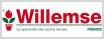 Willemse