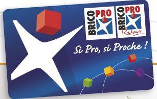 Carte de fidélité Brico Pro