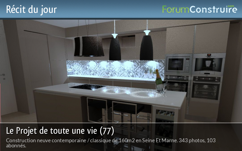 Le Projet de toute une vie (77)