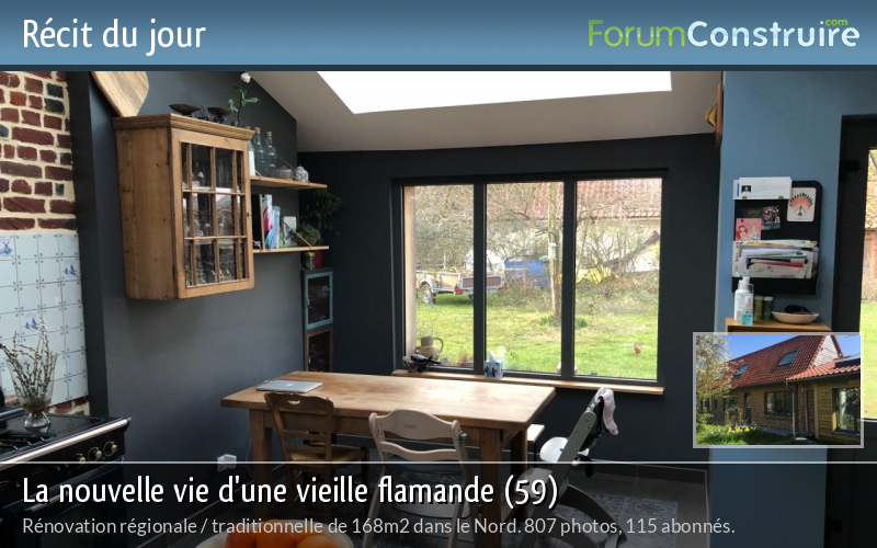 La nouvelle vie d'une vieille flamande (59)