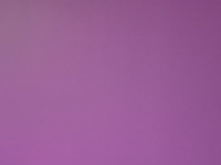 Photo Seigneurie Nuancier Le Chromatic Ch2 0558 Violet Vigne