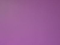 Ch2 0558 Violet Vigne Ch2 0558 Violet Vigne