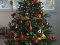 Photo Sapins De Noel Artificiels Royal Christmas