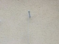 Photo Nortene Palissage En Cable D'acier