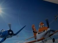 Planes 368x254