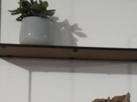 Etagere Basse Bois Centrakor