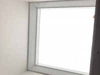 Photo Velux Skydome