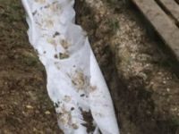 Geotextile, 100g/m2, 10x1m Geotextile, 100g/m2, 10x1m