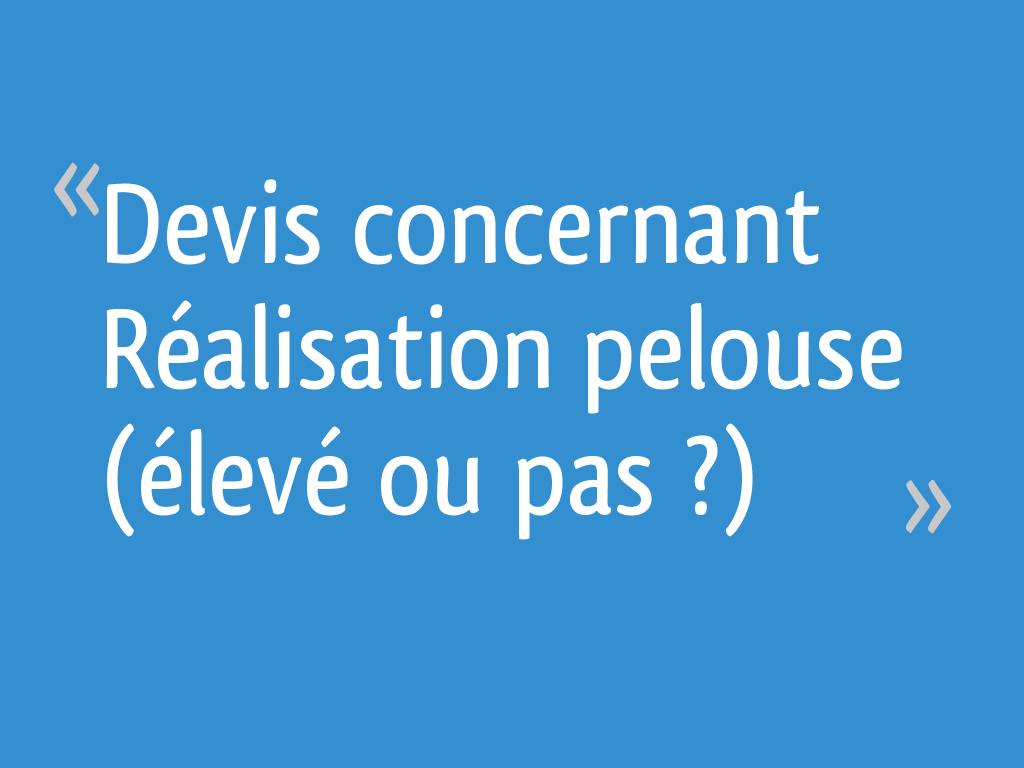 Devis concernant Réalisation pelouse (élevé ou pas ?)