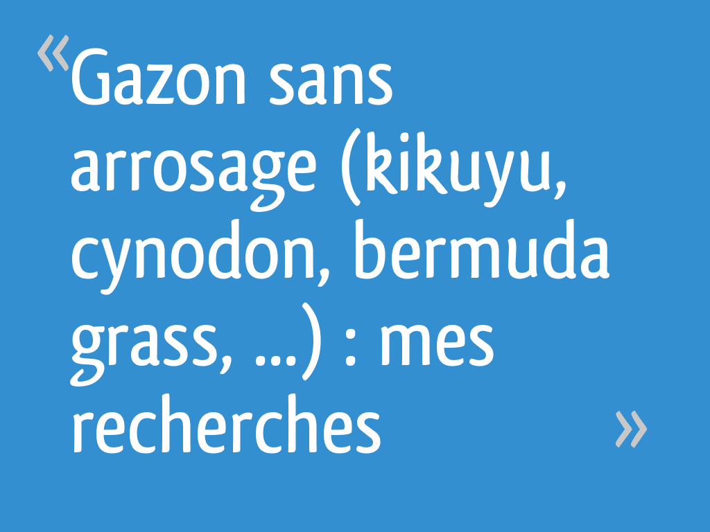 Gazon sans arrosage (kikuyu, cynodon, bermuda grass, ...) : mes recherches