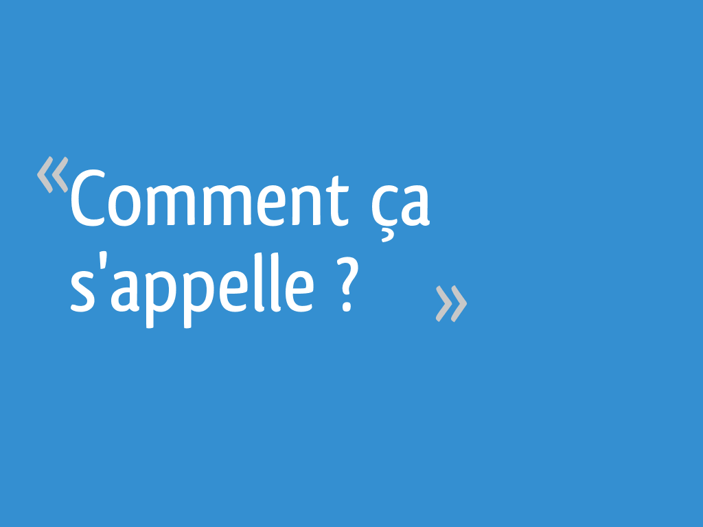 Comment S Appelle