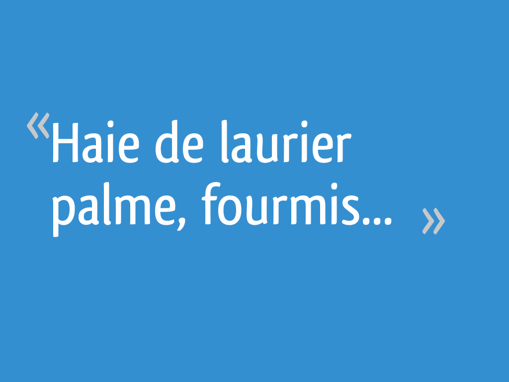 Ils Peuvent Me Tuer Je Ne Parlerai Pas Haie de laurier palme, fourmis... - 5 messages