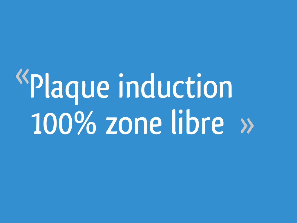 Plaque induction 100 zone libre 8 messages