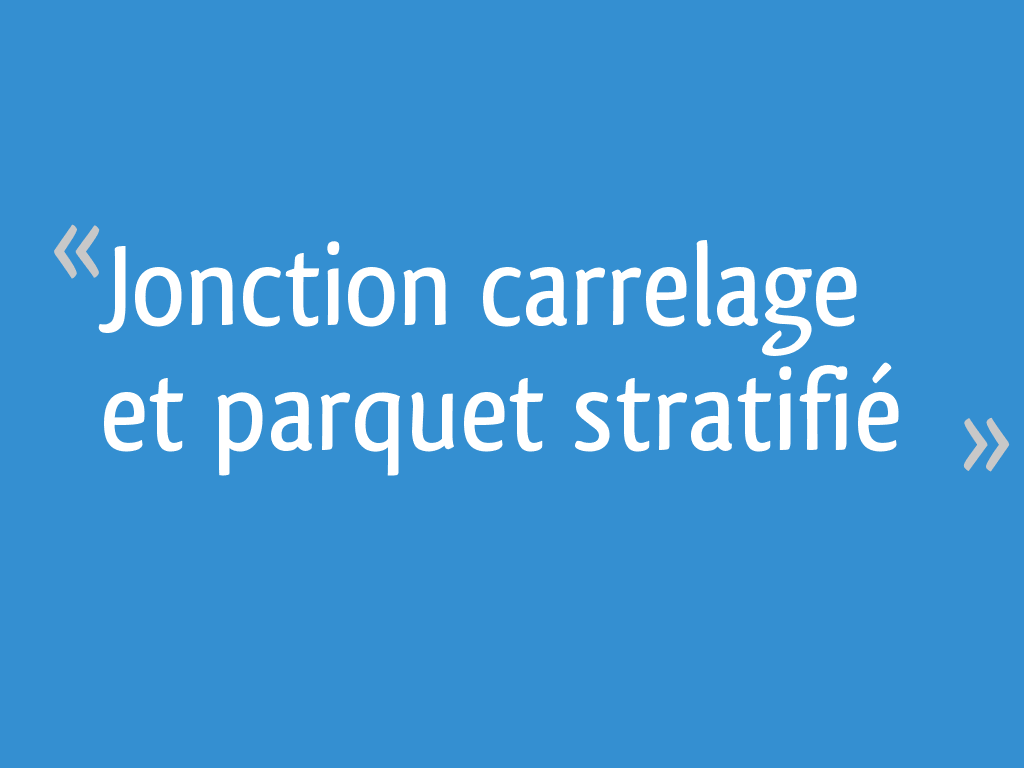 Jonction Carrelage Et Parquet Stratifié 7 Messages