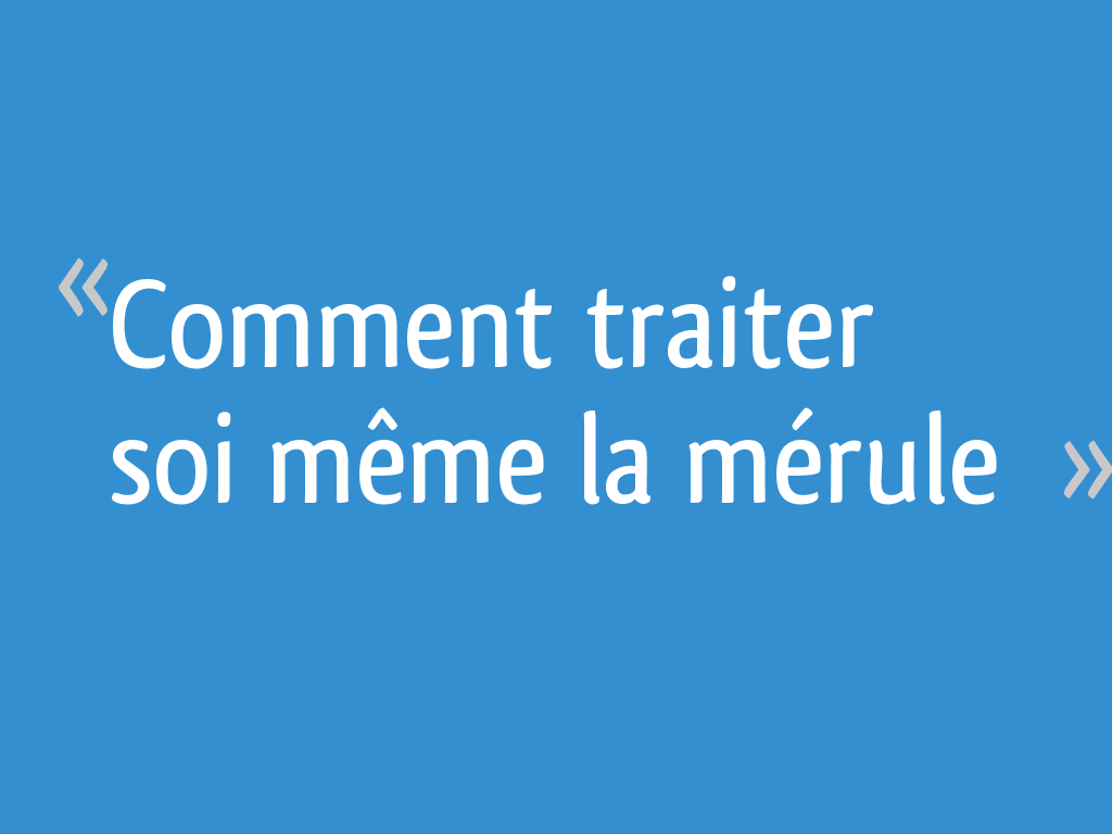 Comment Traiter La Merule Soi Meme Comment traiter soi même la mérule - 7 messages
