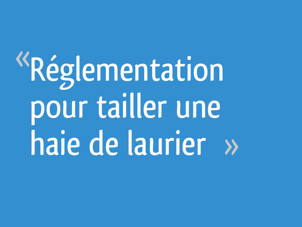 Réglementation pour tailler une haie de laurier - 4 messages