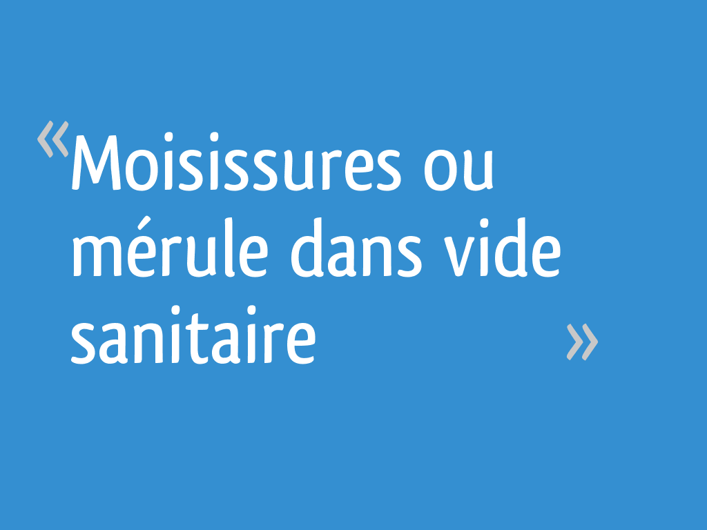 Moisissures ou mérule dans vide sanitaire 102 messages — free download