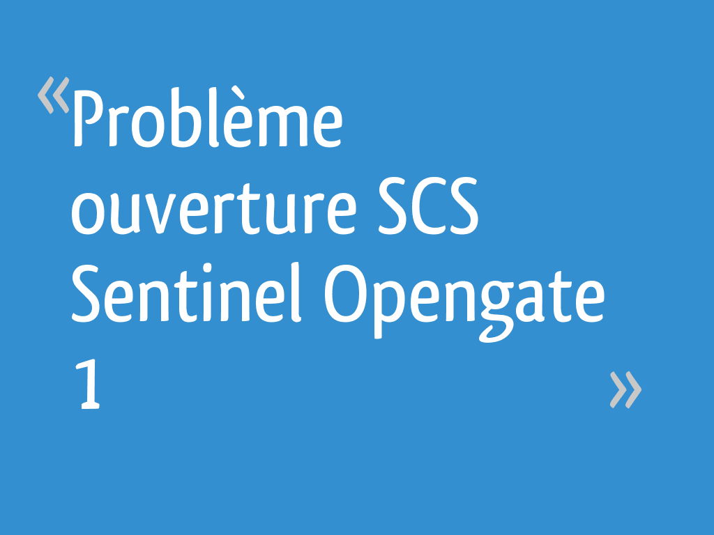 Scs Sentinel Opengate 1 Probleme