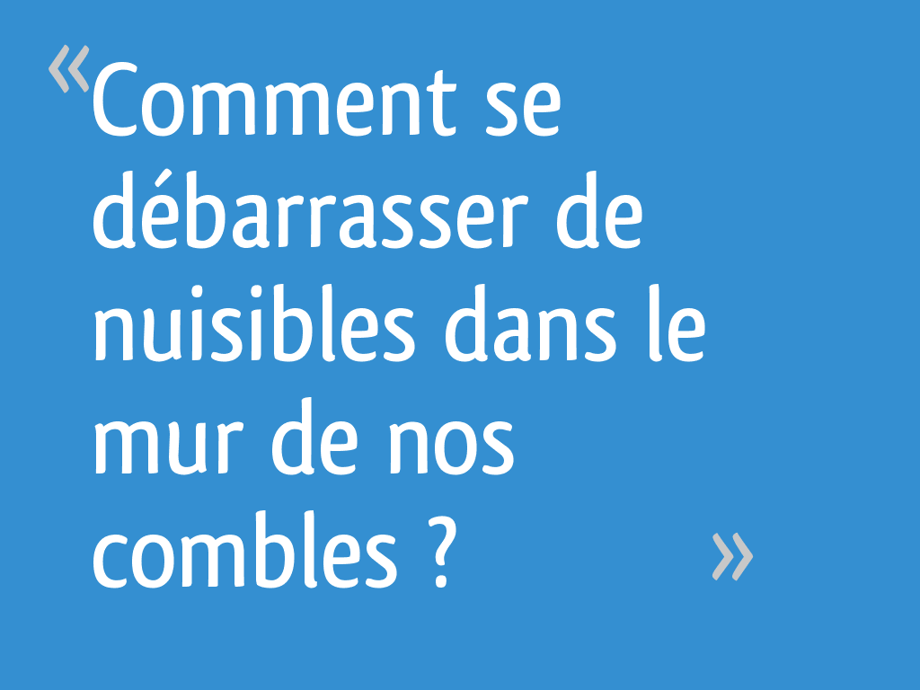 Comment se débarrasser de nuisibles dans le mur de nos combles — free download