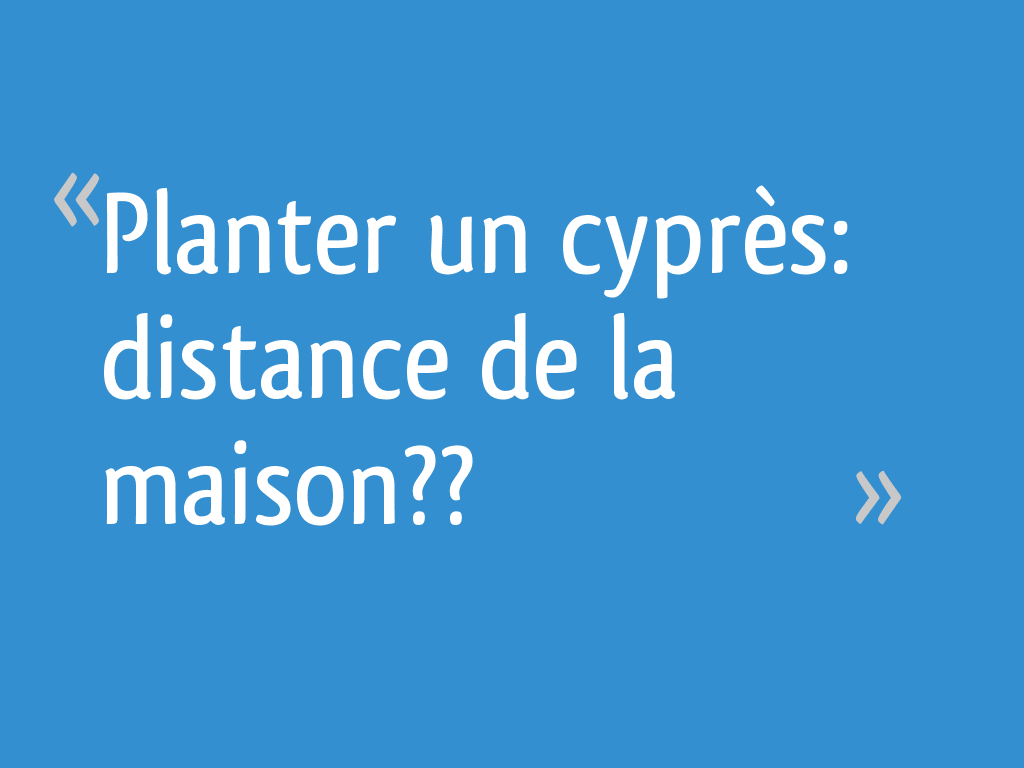 Peut On Couper La Tete D'un Cypres De Provence